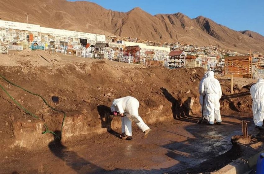  Cementerio de Antofagasta construirá 90 nichos debido a la pandemia por el Covid-19