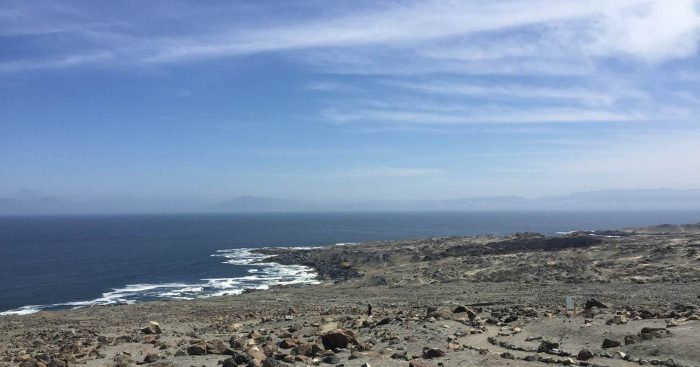  CORE de Antofagasta aprobó recursos para desarrollar estudio sobre biodiversidad marina