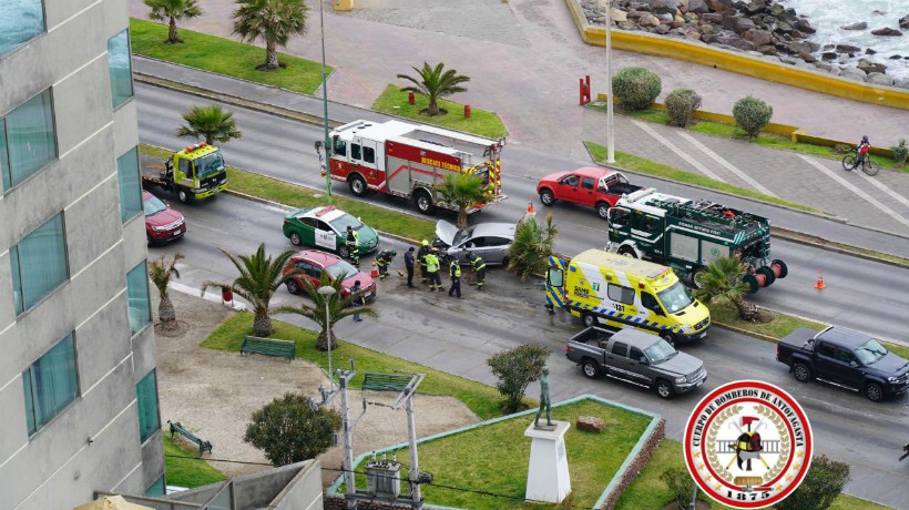  Conductor impacto su vehículo contra una palmera en Antofagasta