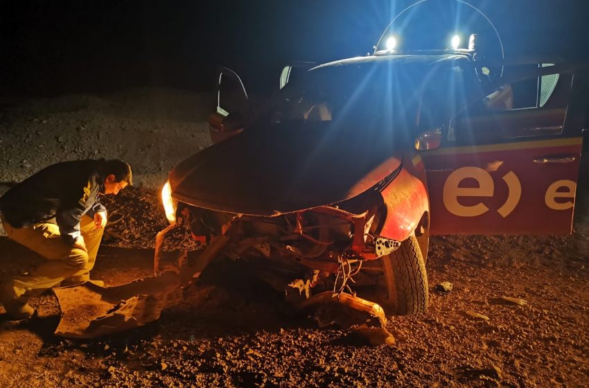  Calama: Delincuentes lanzaron a perros cachorros para evitar ser detenidos