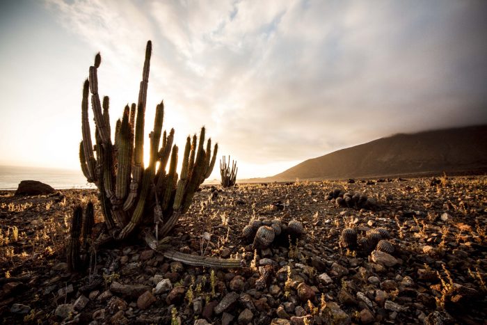  Sernatur Antofagasta busca fortalecer la innovación en la gestión del turismo municipal a través de concurso