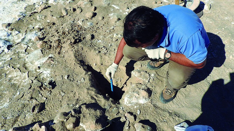  Hallazgo de arcillas en Atacama es pista clave para la investigación de vida en Marte