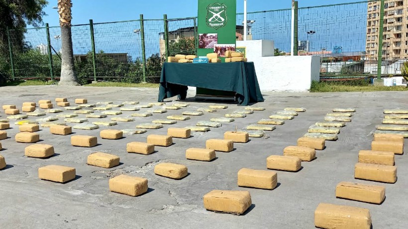  Decomisan gran cantidad de marihuana en ruta de Antofagasta