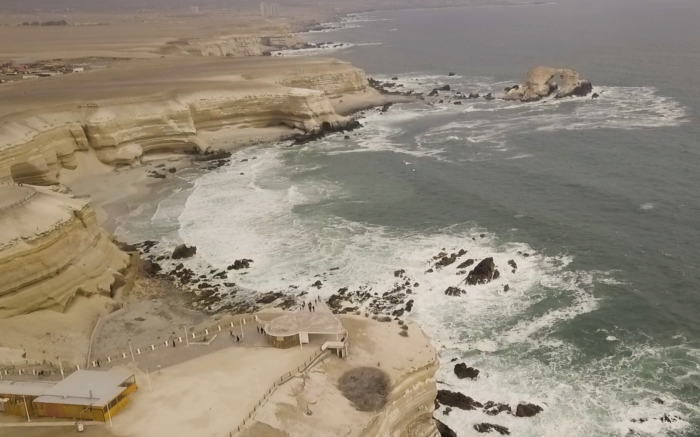  Aves y fauna recuperaron su sector a una década del cierre de la playa en La Portada