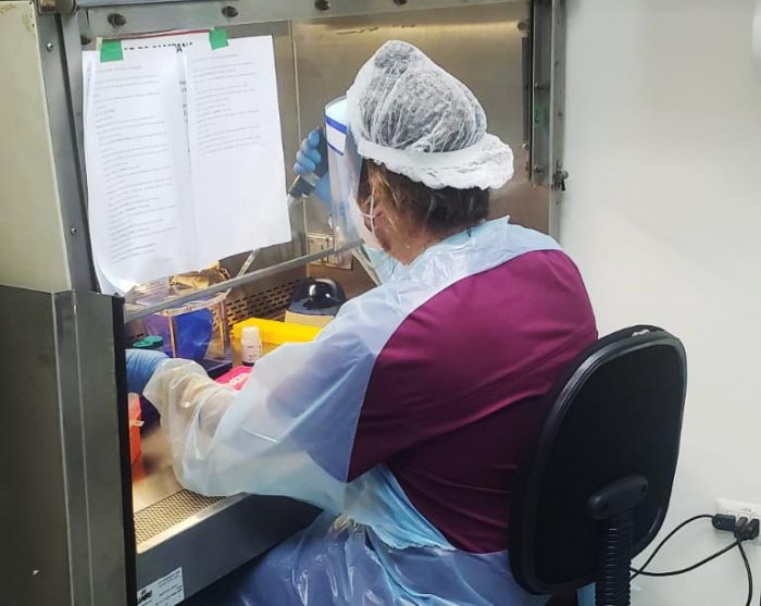  Laboratorio de Virología Molecular de la U. de Antofagasta completa más de 24 mil diagnósticos