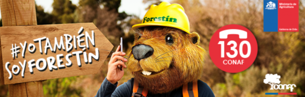  Yo también soy Forestín: campaña de prevención de incendios forestales 2020