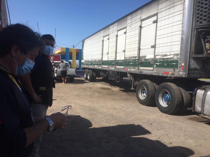  Antofagasta: Sernapesca y PDI desbaratan nueva red de comercialización ilegal de pulpo