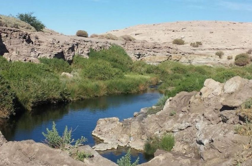  Calama: Avanza proceso para declarar santuario de la naturaleza Quebrada Ojo de Opache