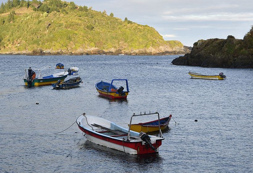  Apoyarán a organizaciones de pescadores en acceso a la ley de caletas
