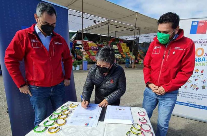  Antofagasta: Firman compromiso para la erradicación del trabajo infantil en el sector agrícola