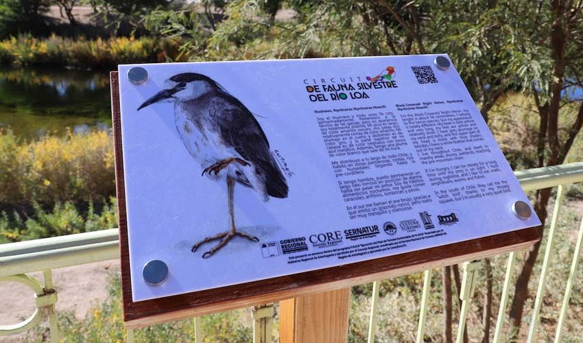  Inauguran un nuevo circuito educativo de la Fauna Silvestre del Río Loa