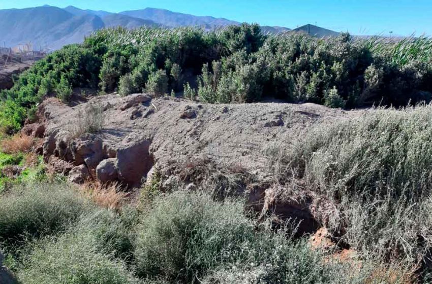  Inician trámite para reconocer ecosistema del Salar del Carmen como Humedal Urbano de Antofagasta