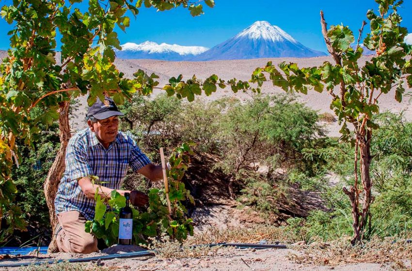  Turismo en el Salar de Atacama: emprendedores iniciaron capacitación para fortalecer su servicio con viajeros