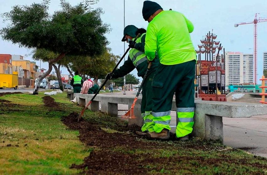  Municipalidad de Antofagasta comenzó un plan de fortalecimiento de áreas verdes