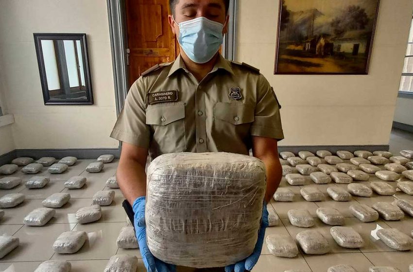  Calama: Carabineros saca de circulación más de 970.000 dosis de marihuana creepy