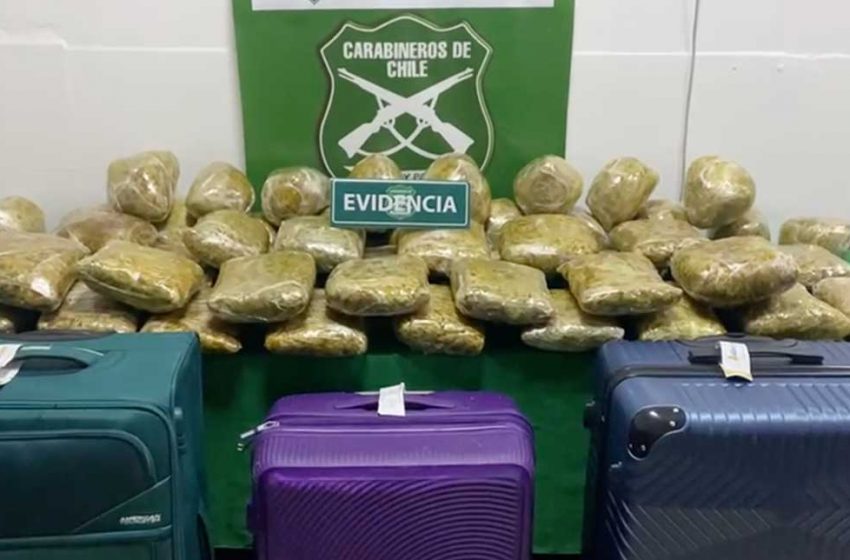  Antofagasta: incautan millonario cargamento de marihuana en bus interurbano