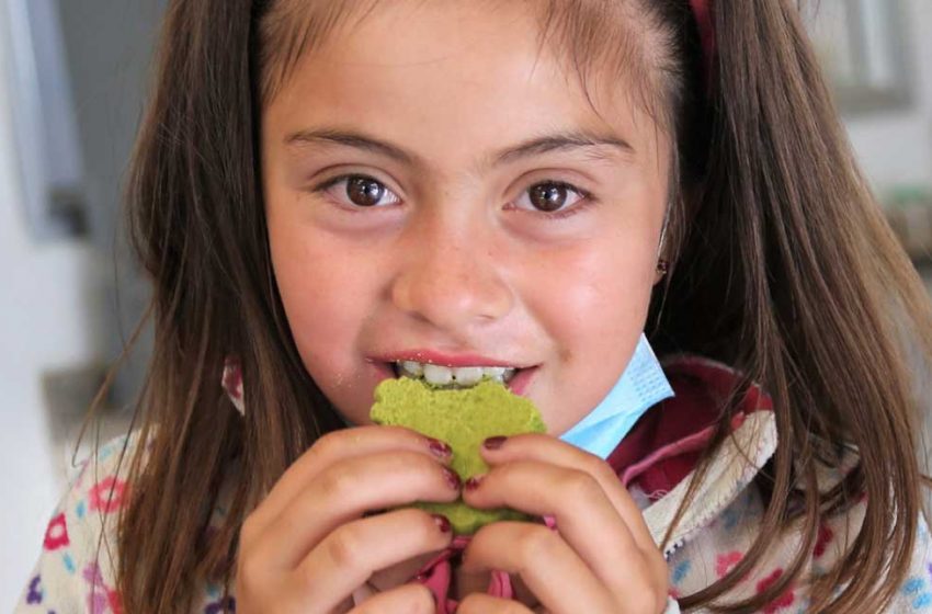  Científicos de la Universidad de Antofagasta crean galletas de luteína a partir de microalgas