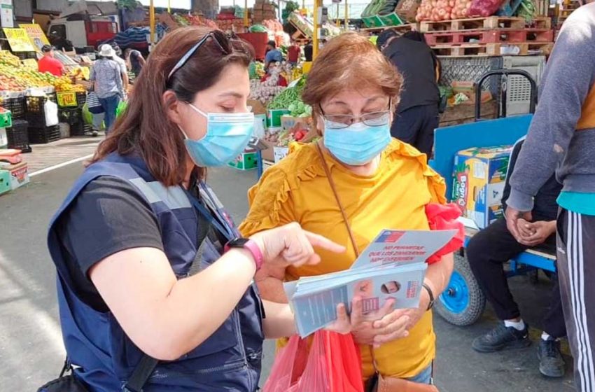  Antofagasta: refuerzan campaña para prevenir aparición de zancudo que transmite graves enfermedades