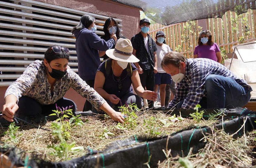  Agricultura sostenible: Vecinos y estudiantes de San Pedro de Atacama recibieron clase magistral de permacultura