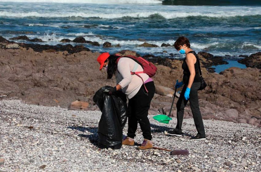  Retiran más de 20 toneladas de basura desde el Parque Croacia y el Balneario Municipal de Antofagasta