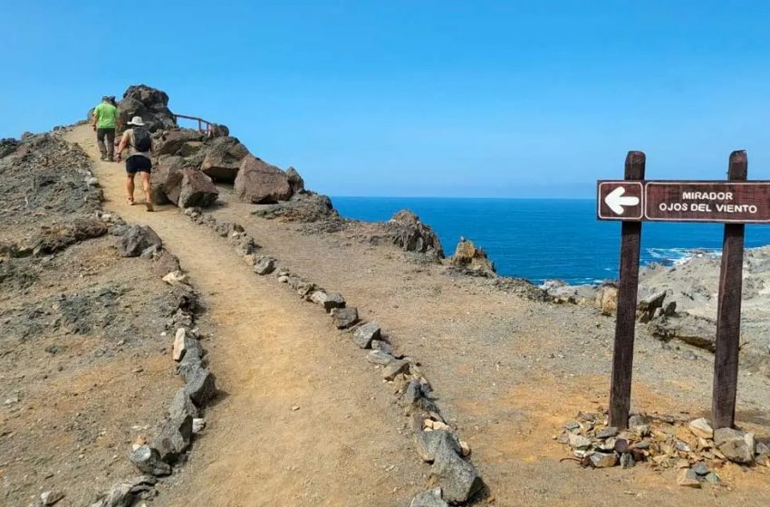  Antofagasta: instalan letreros en Parque Nacional Morro Moreno que describen la flora y fauna del lugar