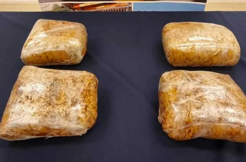  Canes “Dexter y Anker” descubrieron más de 4 kilos de cannabis en un bus interurbano en Calama