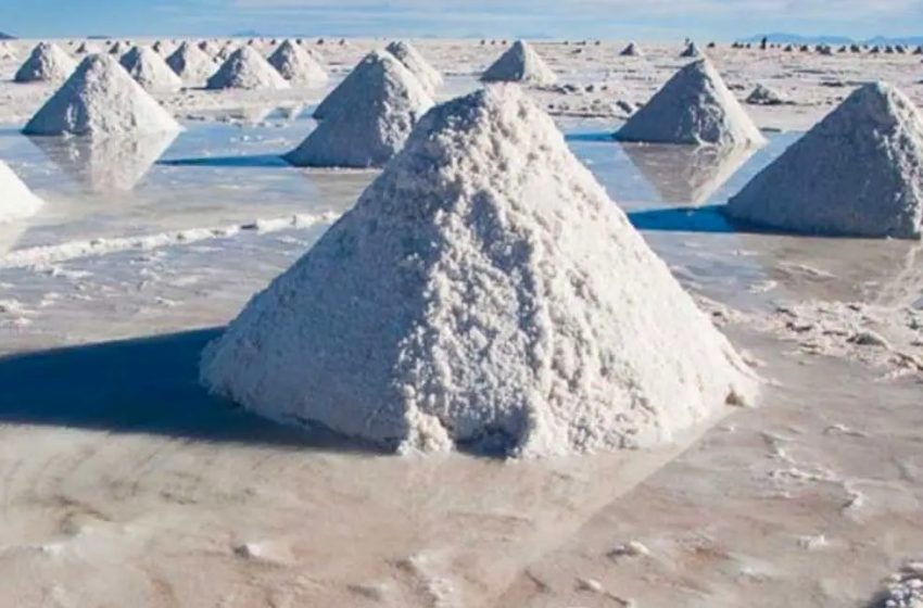  Chile y Argentina acuerdan intercambio científico- técnico para promover mayor valor en la producción de litio