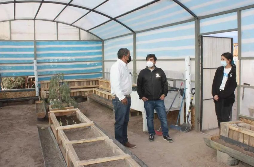 Comunidad de Quetena inaugura ludoteca e invernadero con apoyo de Techo Chile y El Abra