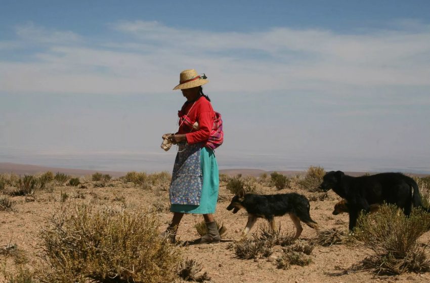  Rescatan patrimonio oral de mujeres indígenas de la región de Antofagasta