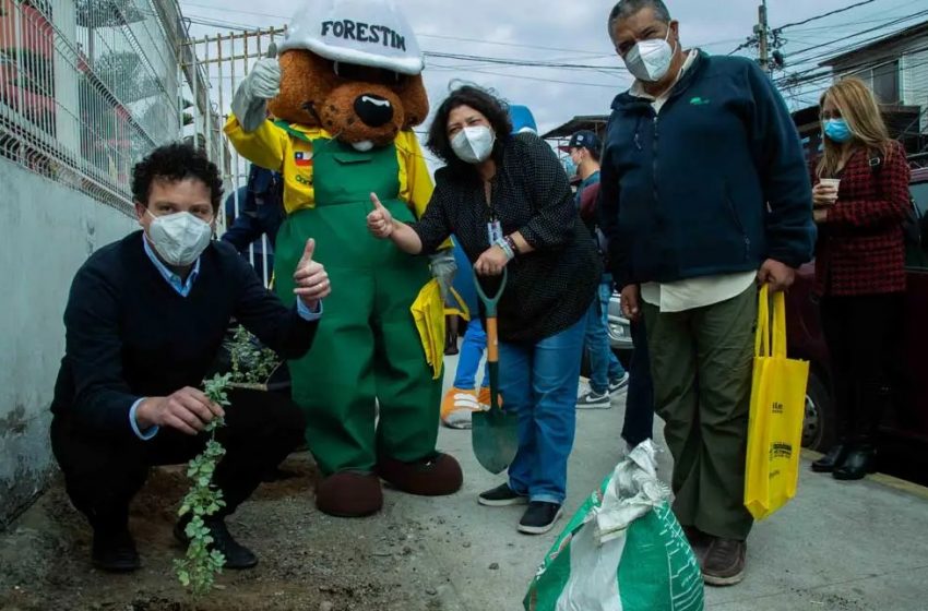  Décima Compañía de Bomberos de Antofagasta celebra 25 años con programa de arborización