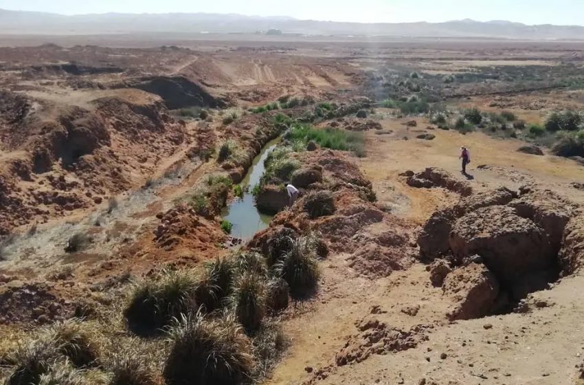  Firman convenio de colaboración para resguardo del Humedal Urbano Salar del Carmen: Aguas Antofagasta y Fundación Kennedy