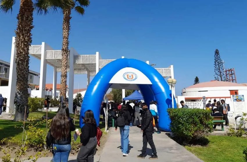  Muchos sin su carnet: Más de 1700 alumnos rindieron su ensayo PAES en la UCN