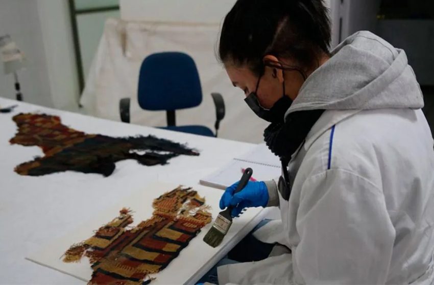  El Abra apoya conservación del patrimonio arqueológico en Museo de Historia Natural de Calama