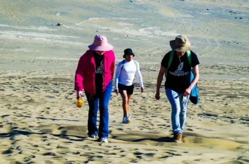  Voluntarios recuperaron cerca de 80 kilos de residuos en las dunas de Roca Roja de Antofagasta