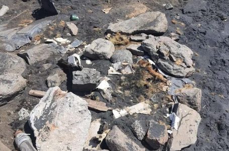 Encuentran cuerpos de perros calcinados en playa de Tocopilla
