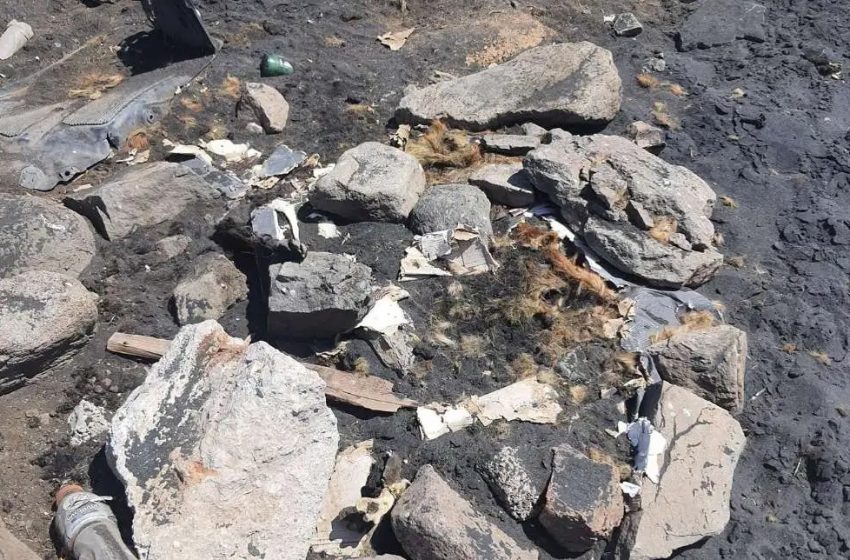  Encuentran cuerpos de perros calcinados en playa de Tocopilla