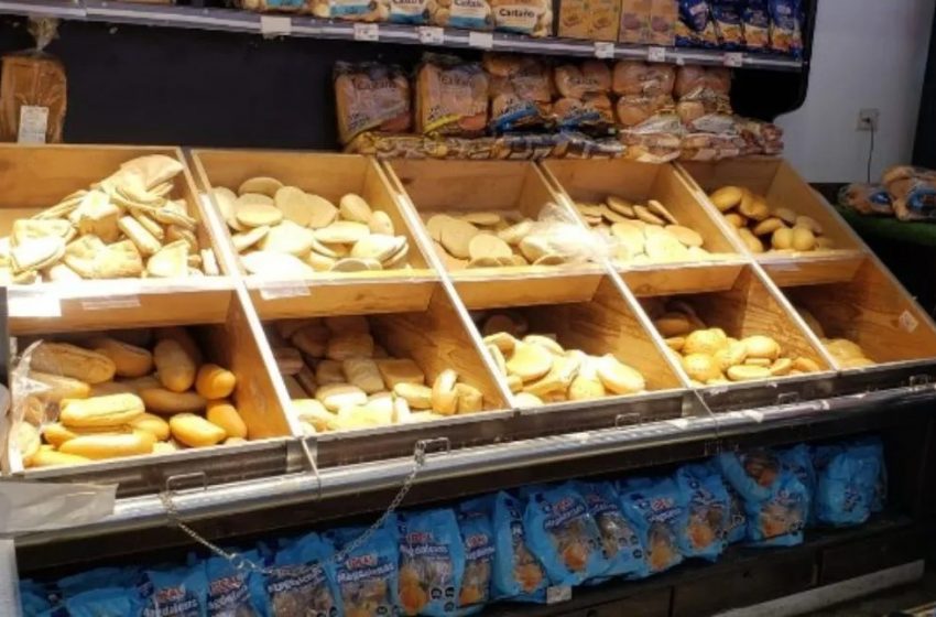  Inician sumario a supermercado de Antofagasta donde fue captada una paloma sobre el pan