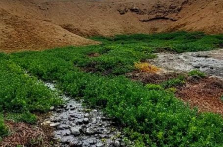 ¡Es oficial! Vertientes de la Chimba Norte es declarado como nuevo humedal urbano de Antofagasta