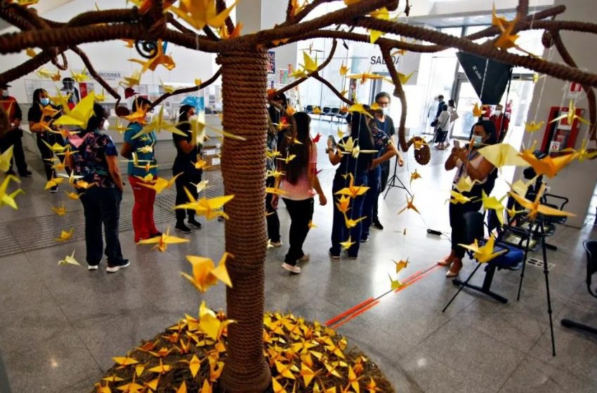  Colocan más de mil grullas en hospital de Antofagasta por lucha contra el cáncer infantil