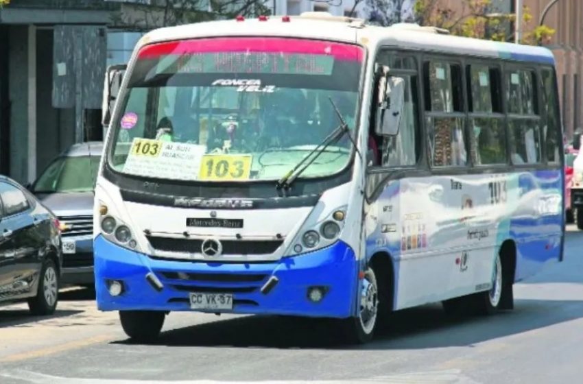  Premian a 17 conductores destacados del transporte público de la región de Antofagasta