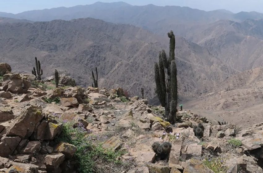  Aprueban proyecto minero a pocos kilómetros de Reserva Nacional de La Chimba