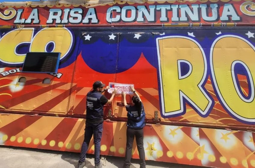  Salud prohíbe funcionamiento de circo en Antofagasta por graves faltas de seguridad