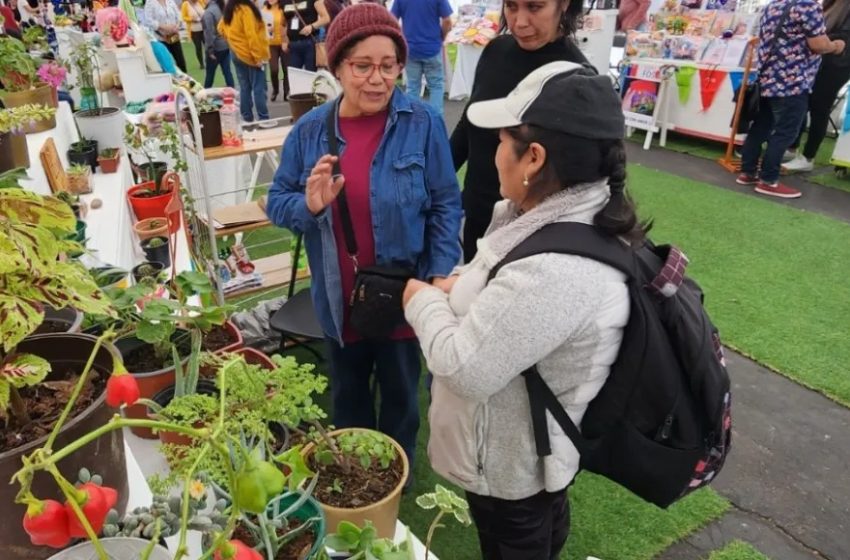  Desde artesanías hasta shows artísticos: inicia la Expo Fosis en Antofagasta con diversos emprendimientos