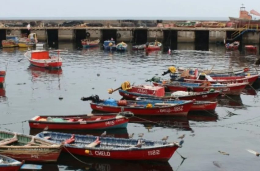 Aprueban cartera de proyectos para el sector pesquero artesanal de la región de Antofagasta