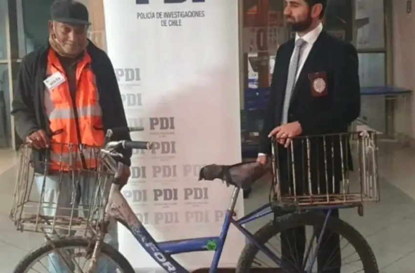  Extranjero que fue sorprendido con bicicleta de conocido suplementero de Antofagasta quedó en prisión preventiva