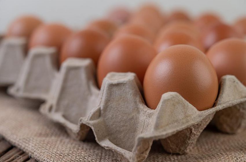  La producción de huevos de consumo presentó un crecimiento interanual de 2,7% en noviembre de 2023