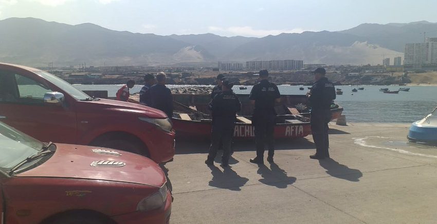  Antofagasta: Sernapesca actúa con firmeza tras denuncia de captura de crías de tiburón martillo por pescadores recreativos