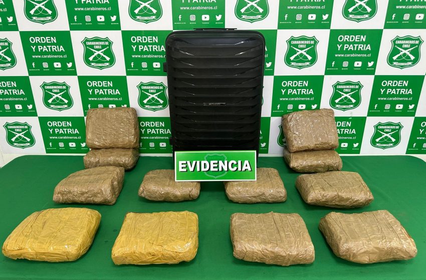  Operativo antidrogas: Ciudadana boliviana capturada con 12 kilos de marihuana en control La Negra de Antofagasta