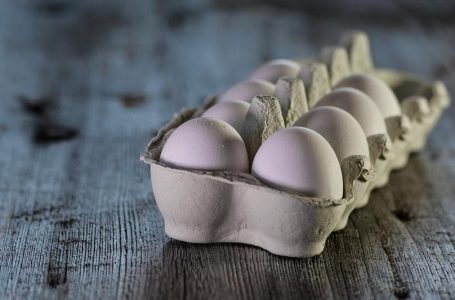 La producción de huevos de consumo presentó una disminución interanual de 0,4% en marzo de 2024