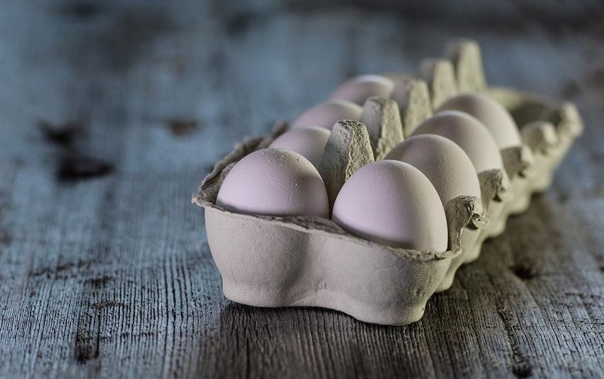  La producción de huevos de consumo presentó una disminución interanual de 0,4% en marzo de 2024